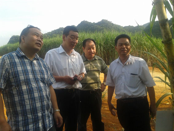 PP电子(中国)集团官网