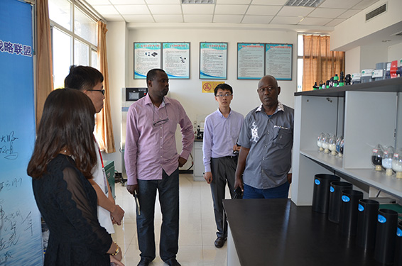 PP电子(中国)集团官网