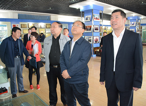 PP电子(中国)集团官网