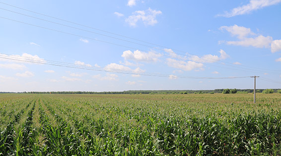 PP电子(中国)集团官网