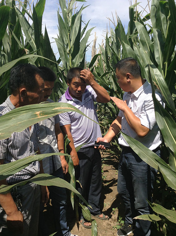 PP电子(中国)集团官网