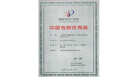 中国专利优异奖