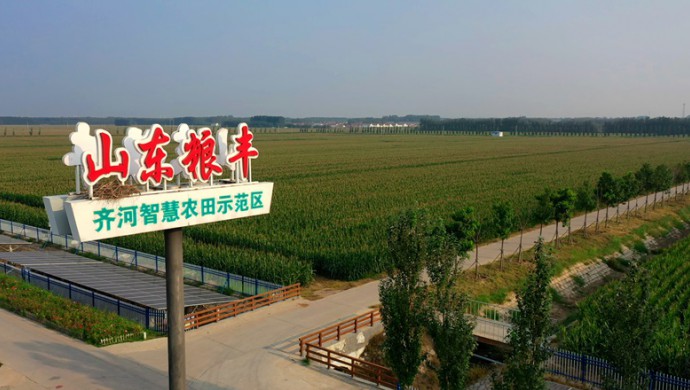  山东省齐河县深化农业水价综合刷新推进现代化灌区建设试点项..