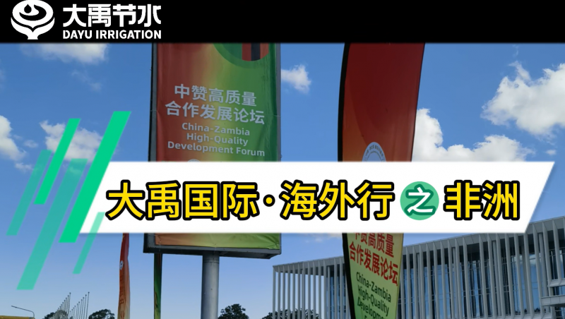 pp电子游戏平台国际·外洋行之非洲