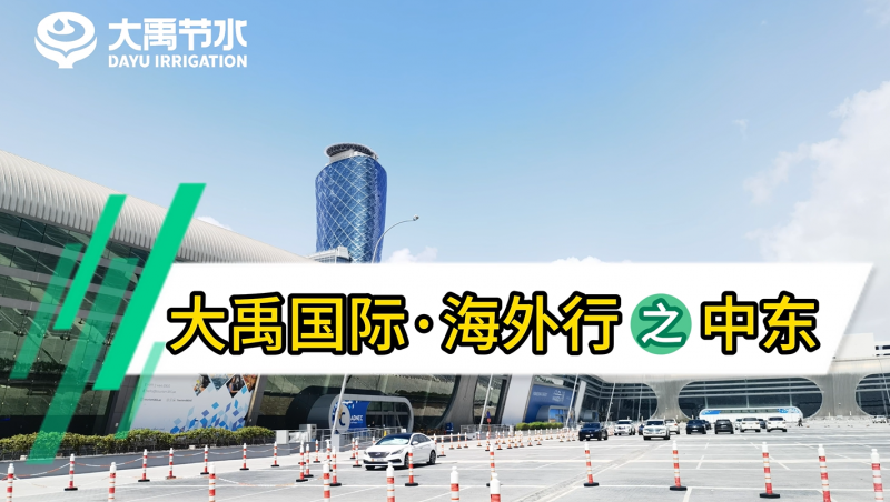 pp电子游戏平台国际·外洋行之中东