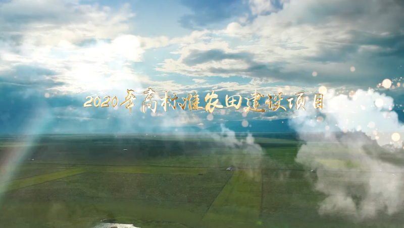 pp电子游戏平台节水颍州区高标准农田建设