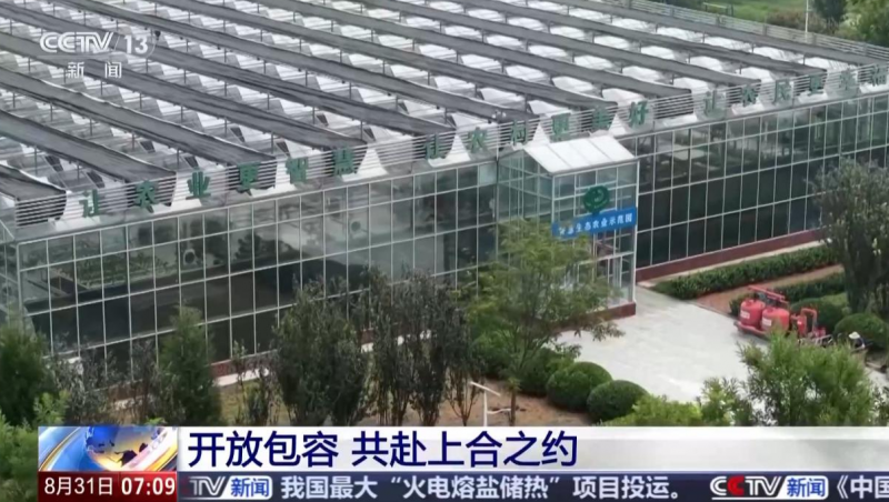  【央视聚焦】pp电子游戏平台节水“智慧浇灌”手艺惠及“上合各人庭”